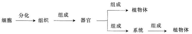 2019年上海教師資格證中學綜合素質(zhì)考點：生活中的科學常識集萃