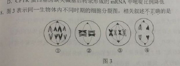 2018上半年上海教師資格證高中生物真題及答案