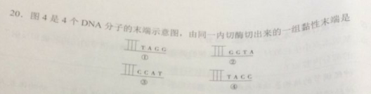 2018上半年上海教師資格證高中生物真題及答案