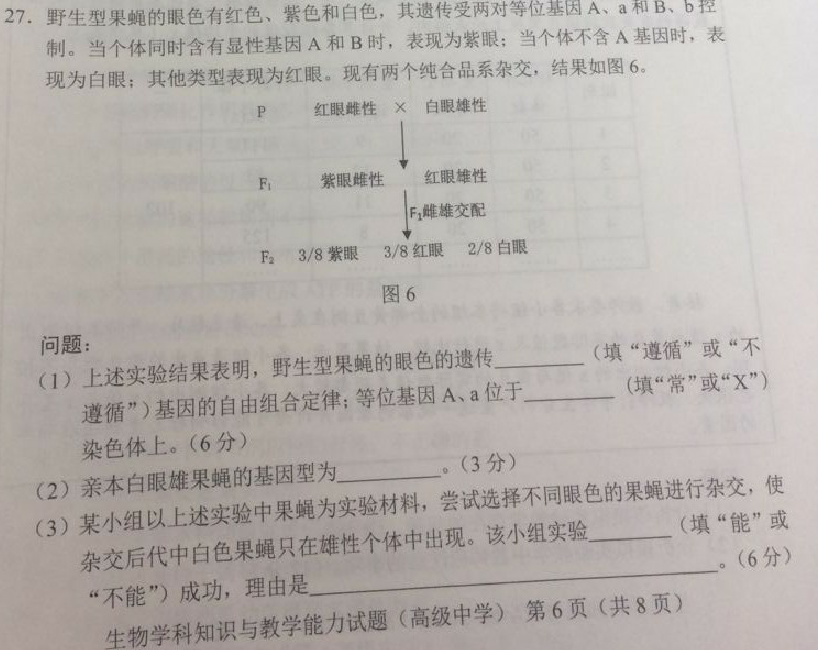 2018上半年上海教師資格證高中生物真題及答案