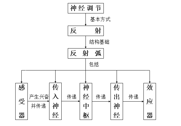 2018上半年上海教師資格證高中生物真題及答案