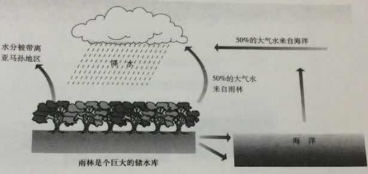 2018上半年上海教師資格證高中地理真題及答案